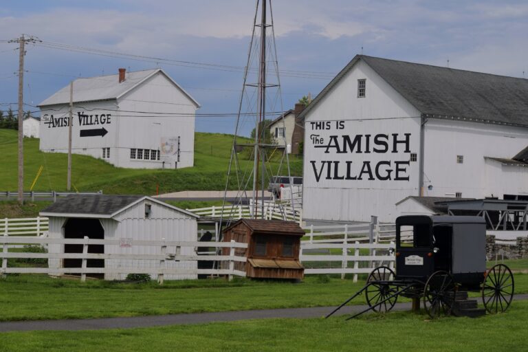 The One Time I Went to Summer Camp, It Was Amish Camp