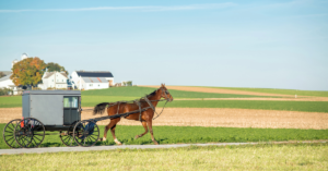 Amish camp is not the same as summer camp.