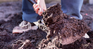 When I went to Amish camp, I had to actually shovel manure. 